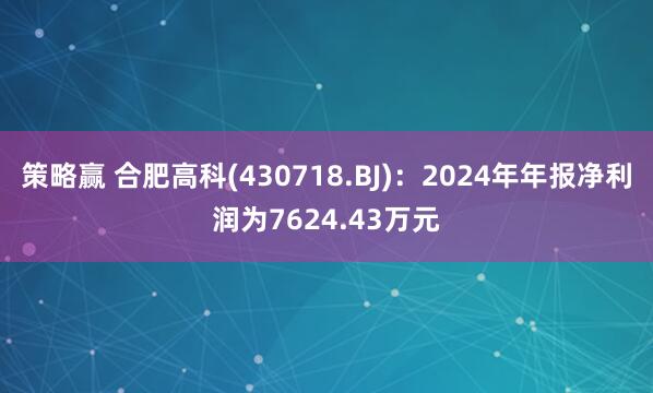 策略赢 合肥高科(430718.BJ)：2024年年报净利润为7624.43万元