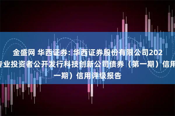 金盛网 华西证券: 华西证券股份有限公司2025年面向专业投资者公开发行科技创新公司债券（第一期）信用评级报告