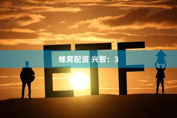 蜂窝配资 兴智：3