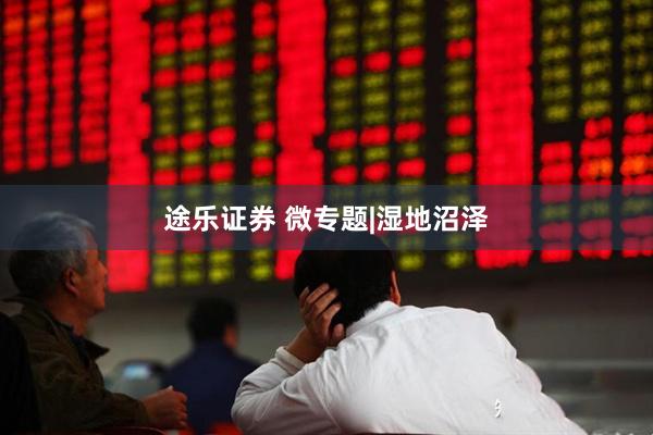 途乐证券 微专题|湿地沼泽