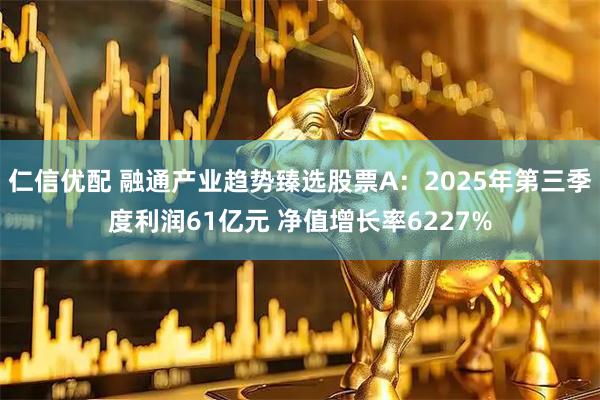 仁信优配 融通产业趋势臻选股票A：2025年第三季度利润61亿元 净值增长率6227%